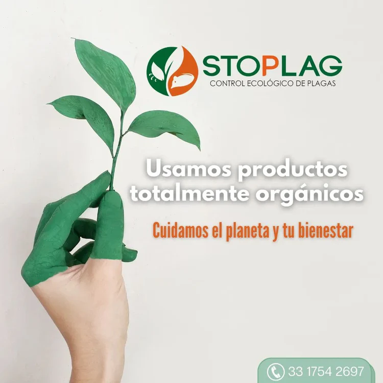 WhatsApp_Image_2022-06-16_at_2.37.38_PM_2